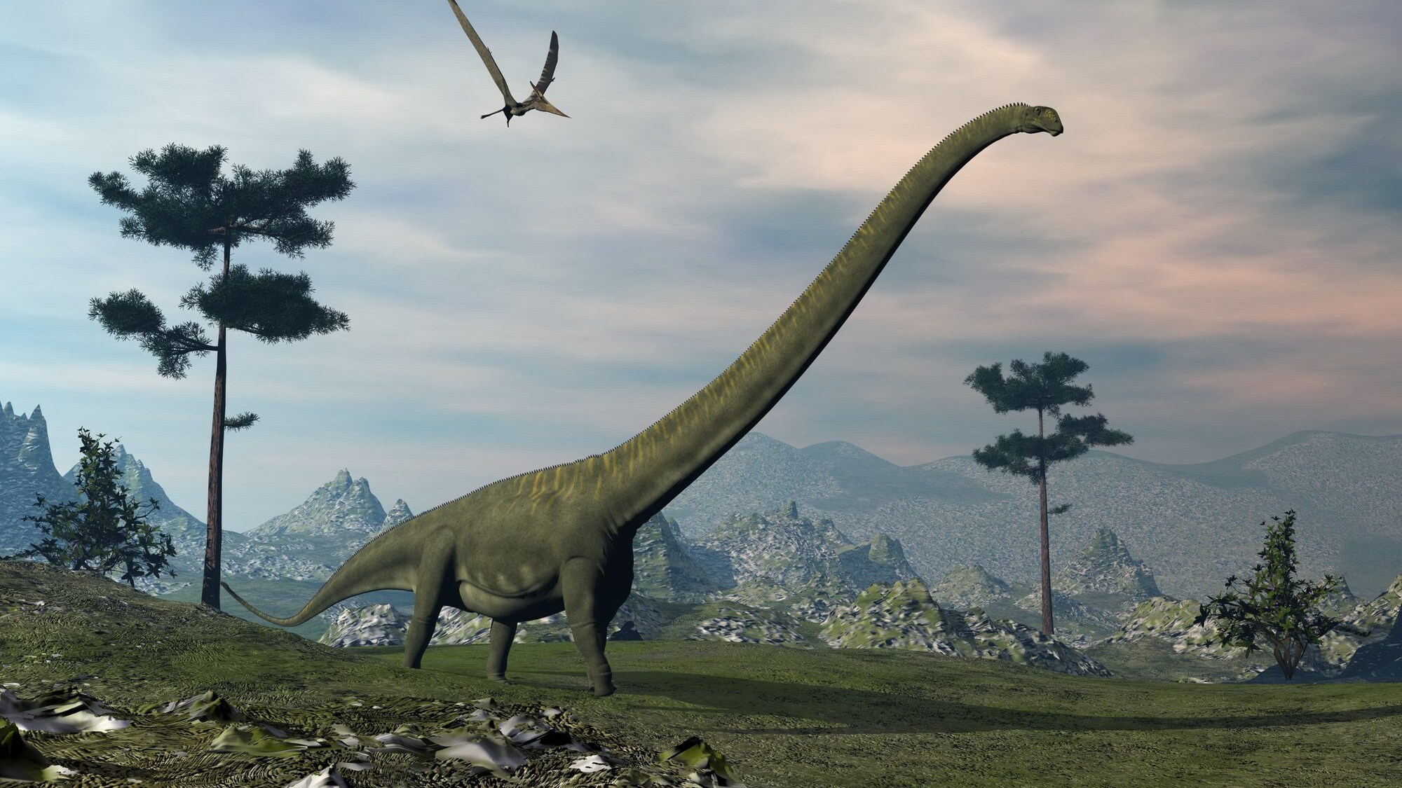 mamenchisaurus collo lungo