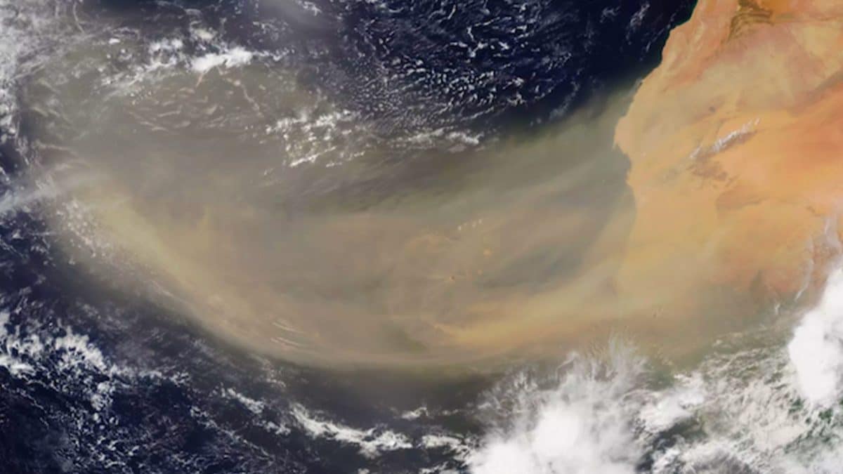 sabbia sahara amazzonia