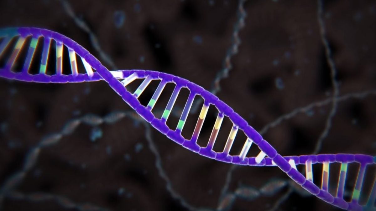 DNA lievito latte sintetico