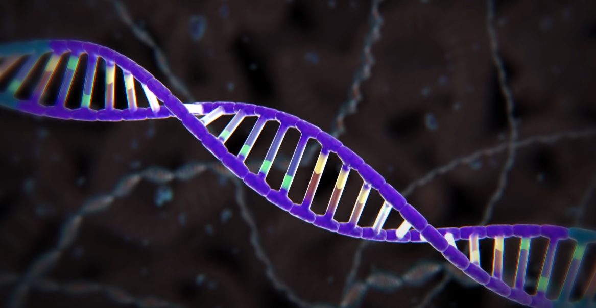 DNA lievito latte sintetico