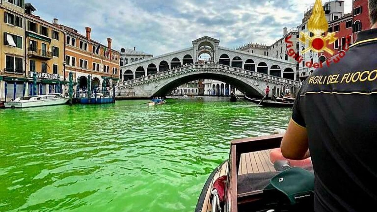 Venezia acqua verde cos'e