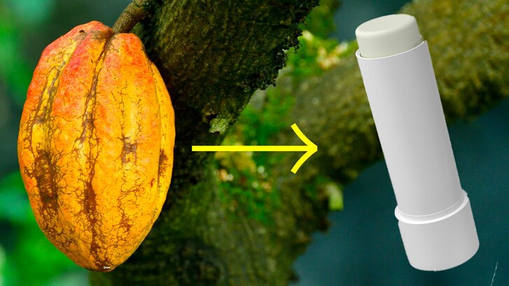 burro cacao produzione