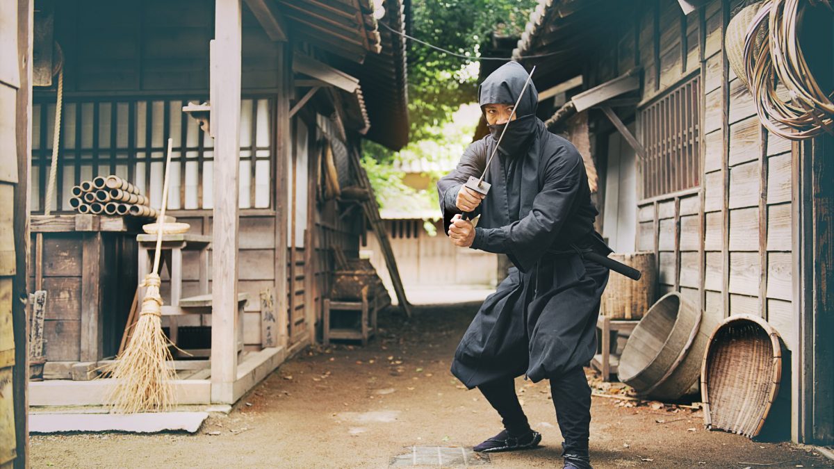 chi erano davvero ninja