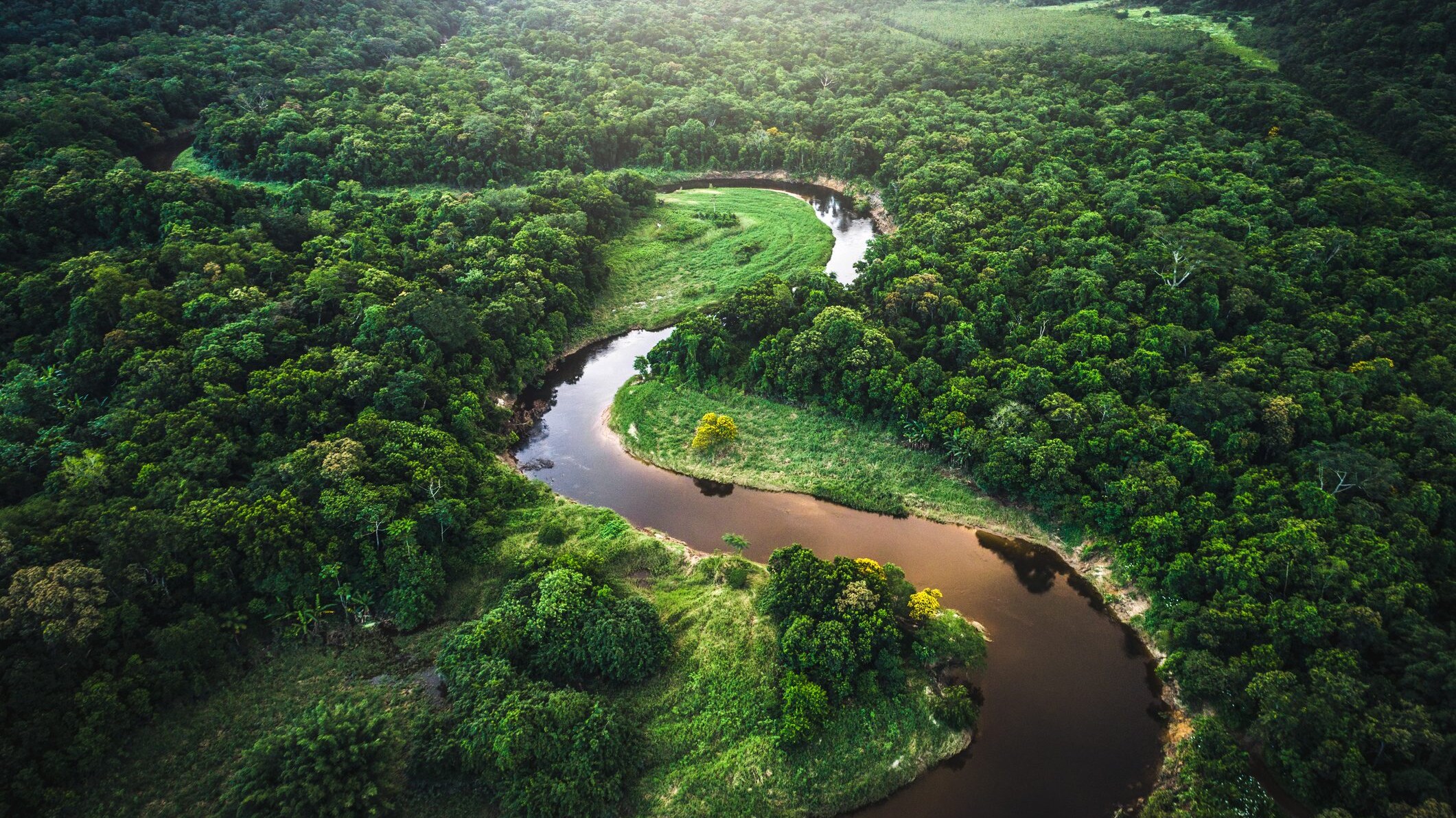 foresta amazzonica