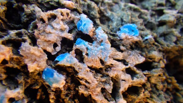 plastic rocks