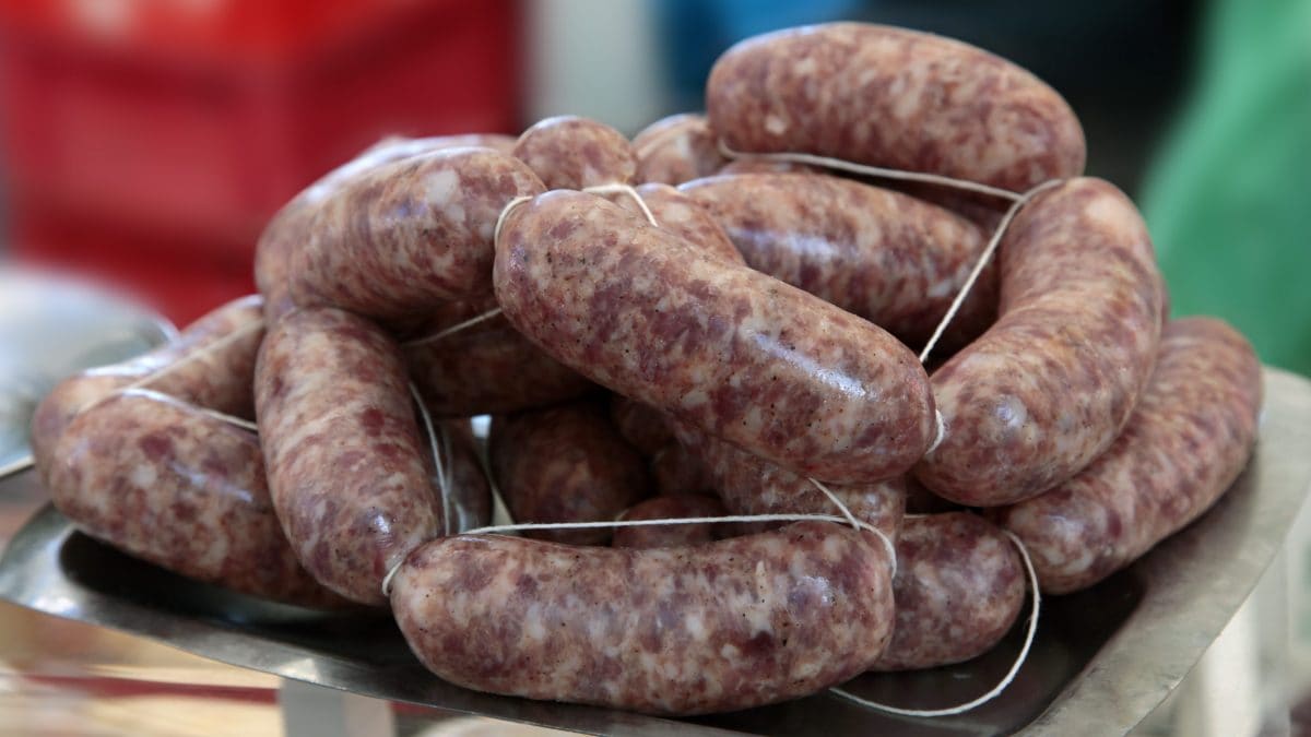 salsiccia OGM approvazione