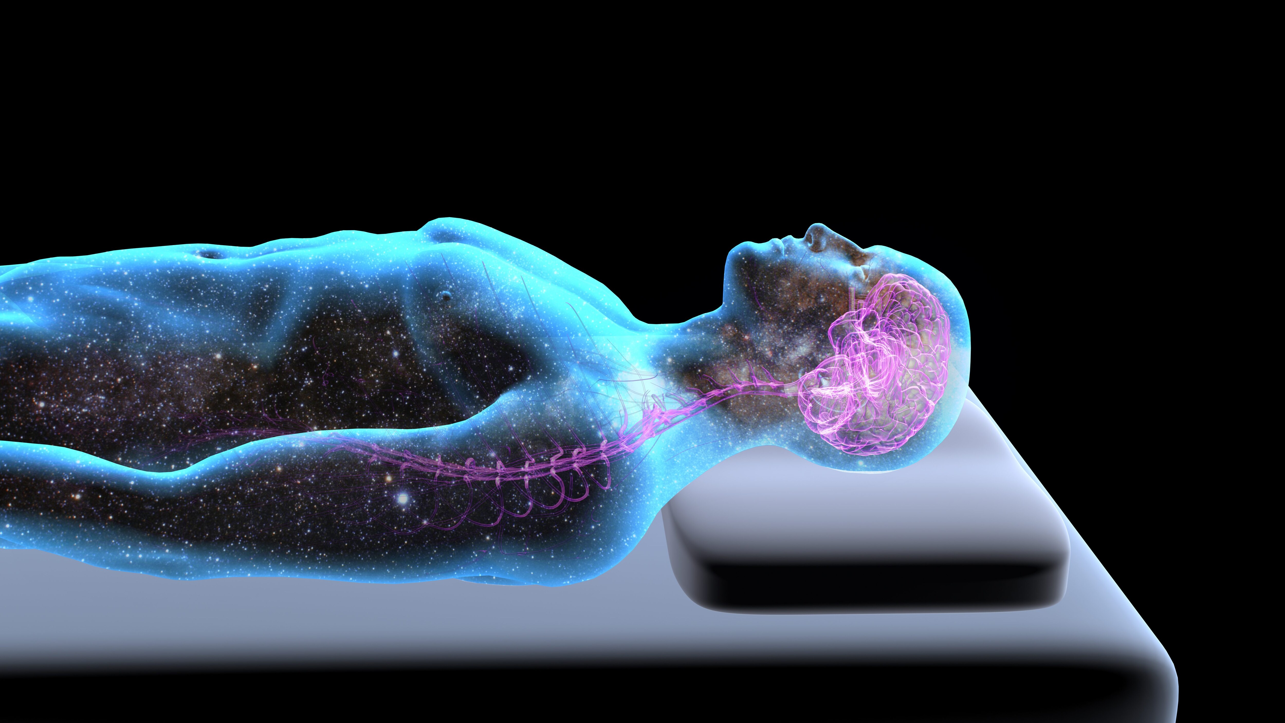 cervello sonno sogni fase rem