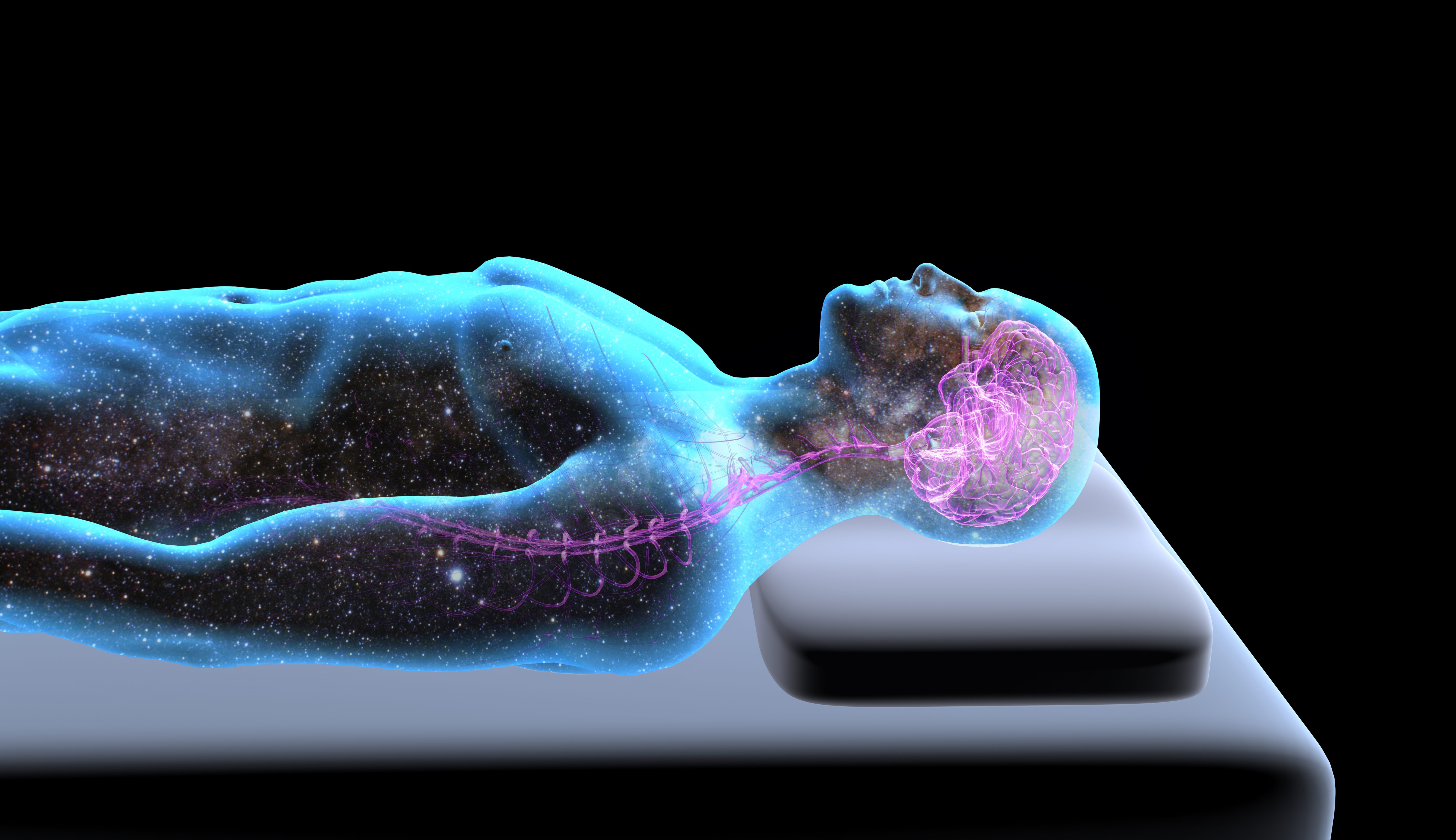 cervello sonno sogni fase rem