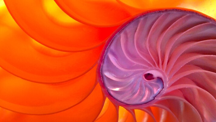 fibonacci