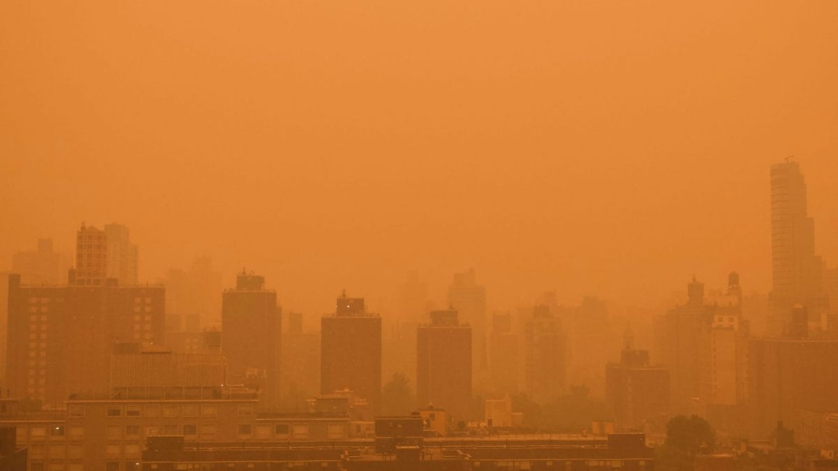 incendi canada new york