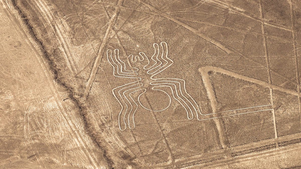 nuove linee nazca AI