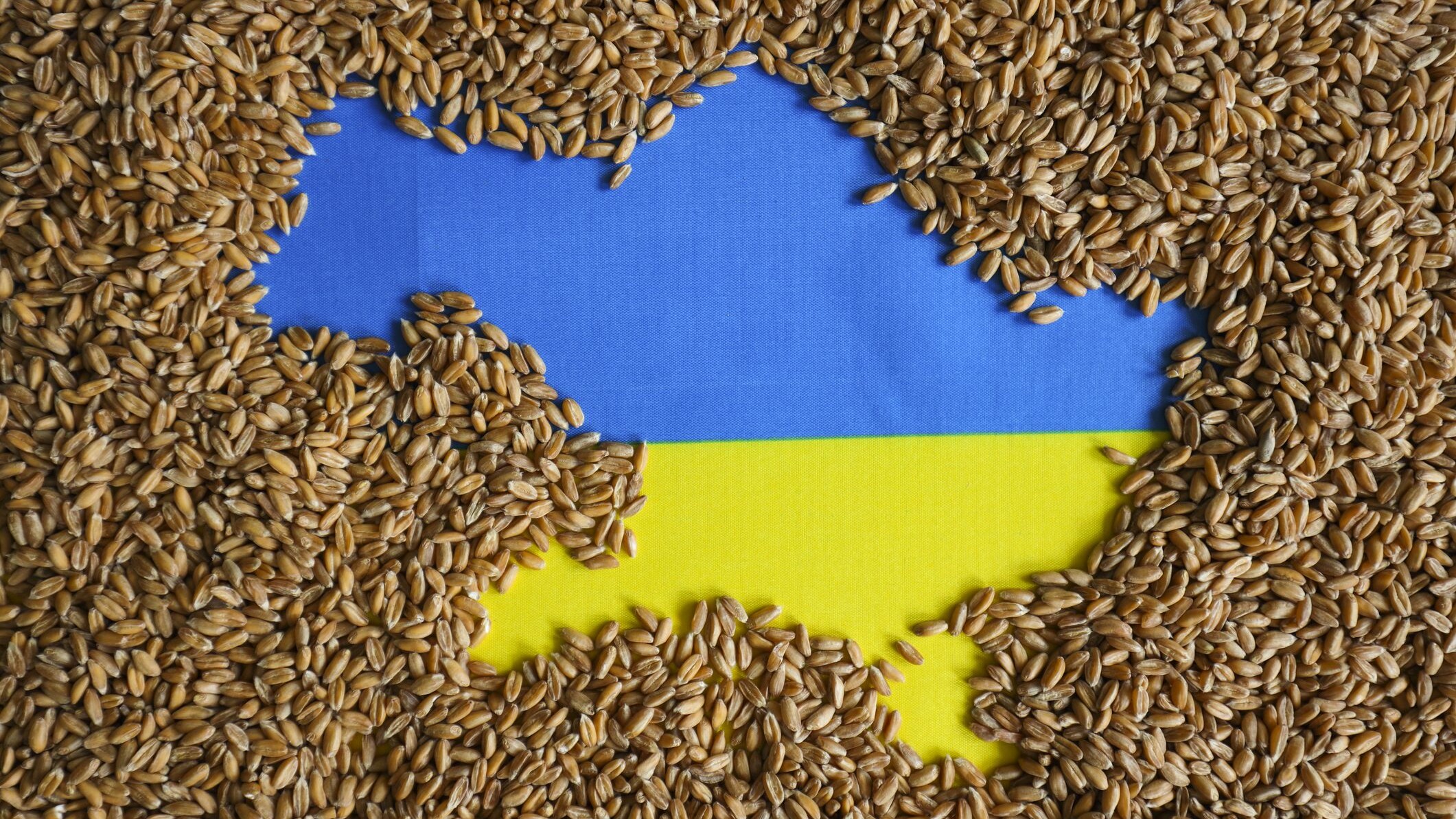accordo grano russia ucraina