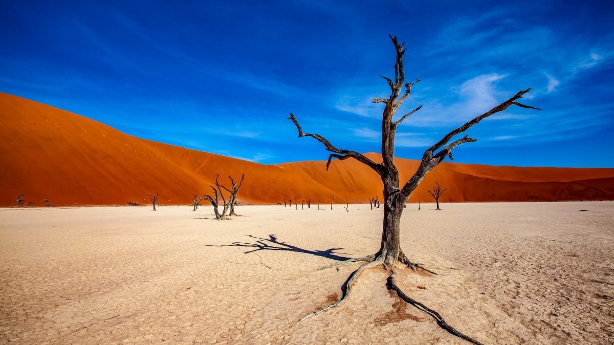 deserto piu grande del mondo