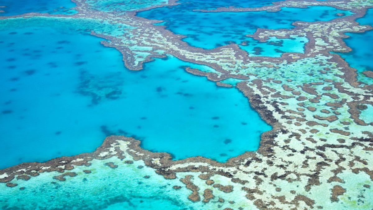 barriera corallina