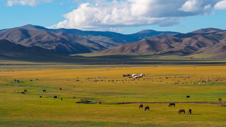 mongolia disabitata