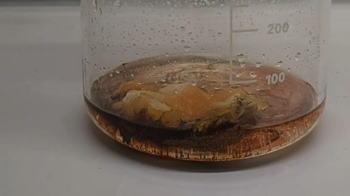 soluzione piranha mandarino