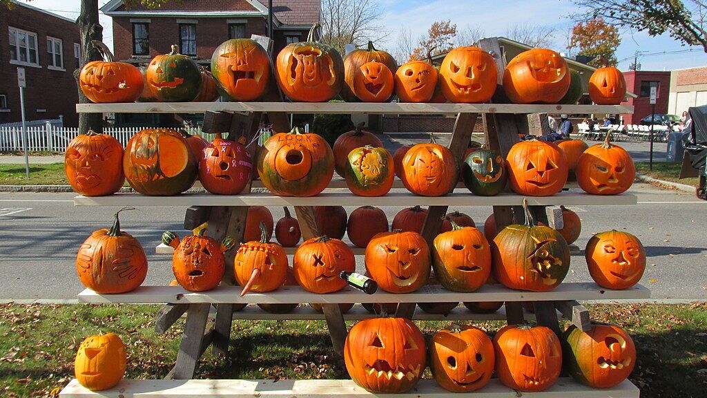 Credits: John Pheian