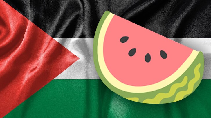 palestina gaza anguria cocomero simbolo