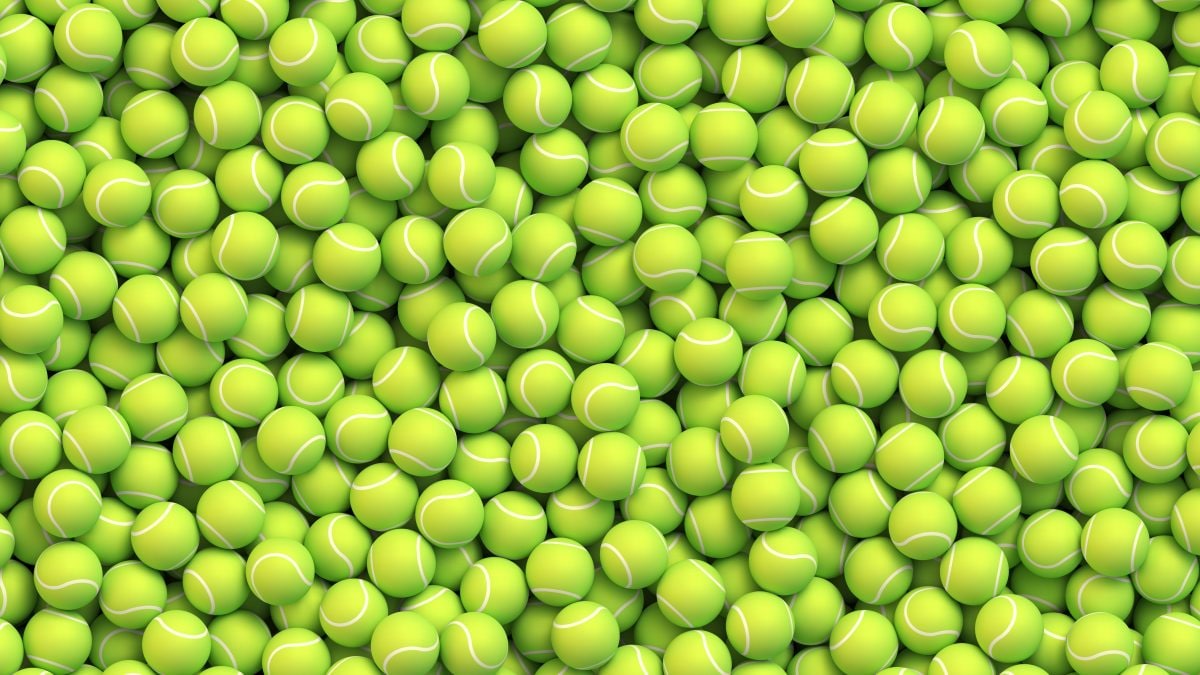 pallina da tennis verde o gialla