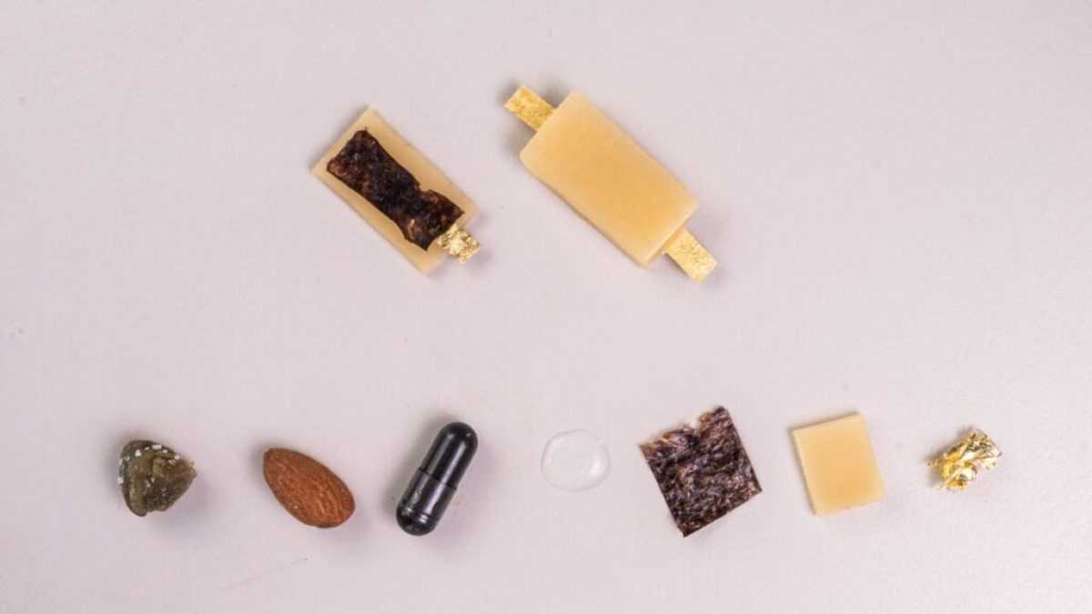 edible battery IIT