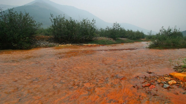 fumi alaska arancioni