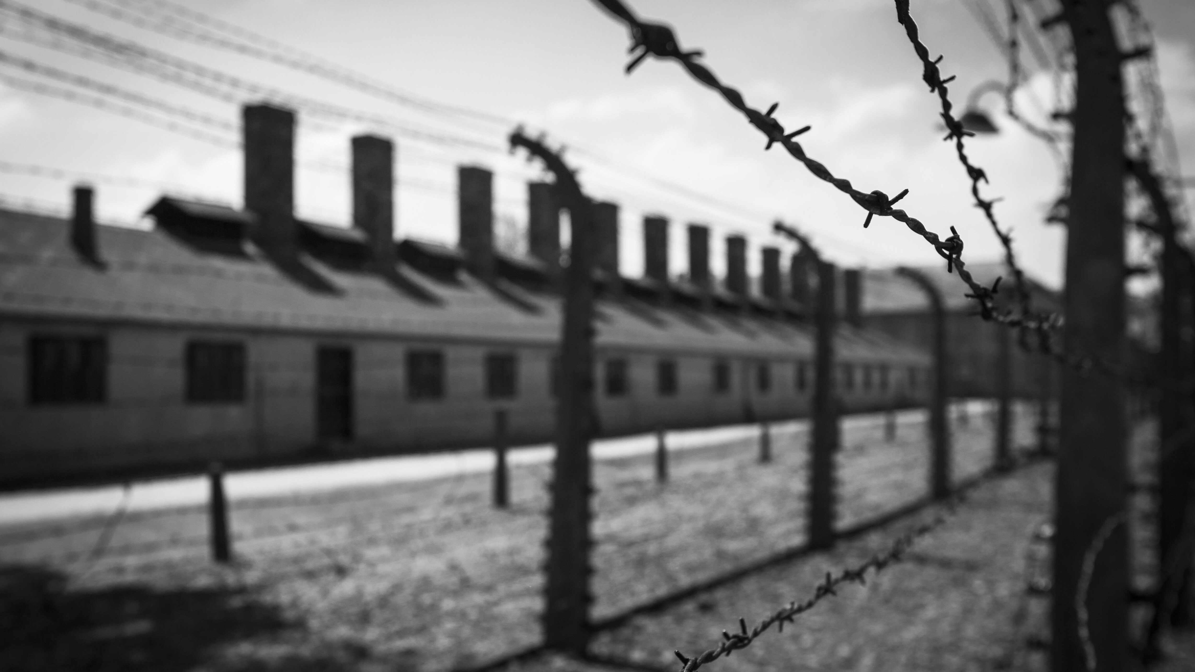 giorno della memoria