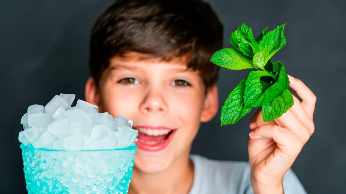 perche menta sensazione di fresco in bocca