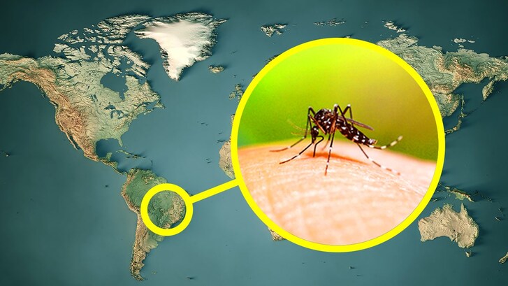 Allerta dengue brasile