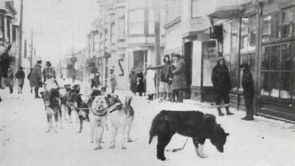 Corsa del siero Balto