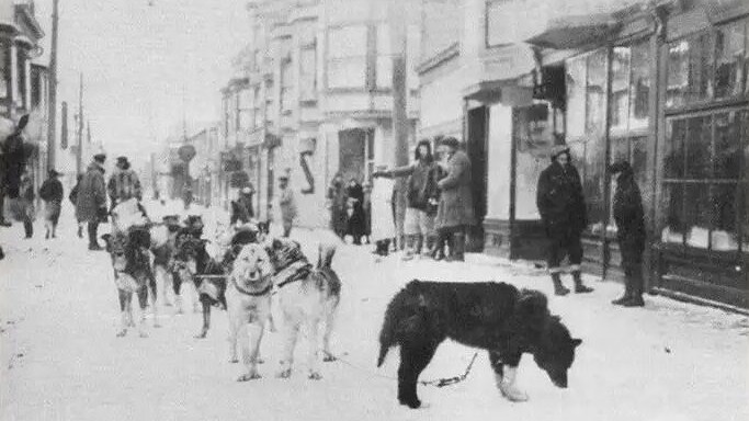 Corsa del siero Balto