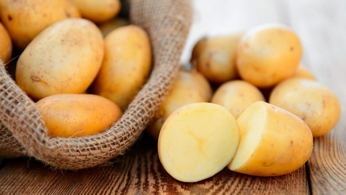 Cosa succede se mangiamo patate crude