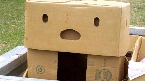 pareidolia