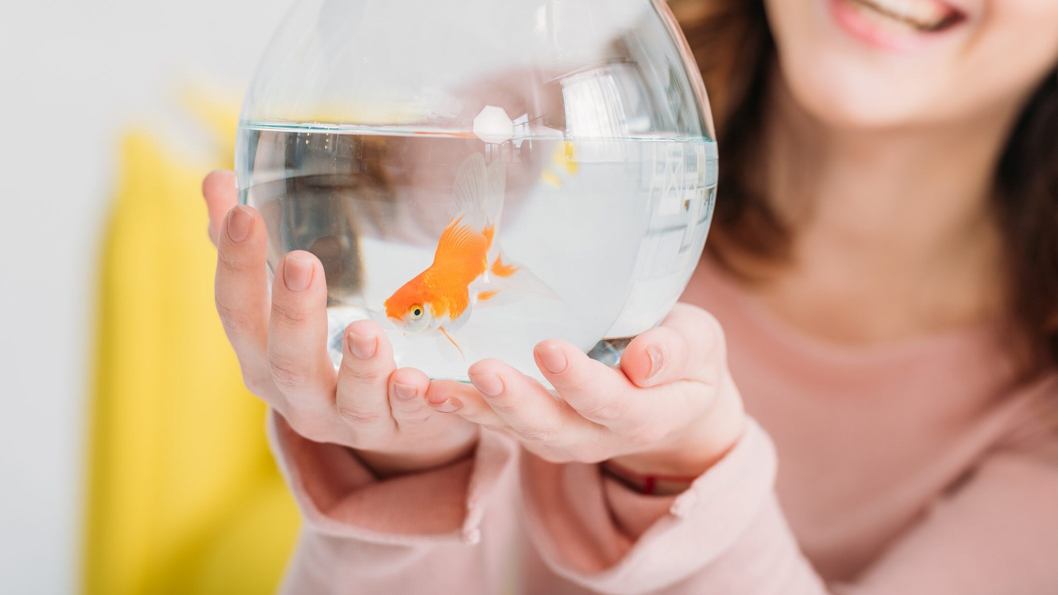 essere sano come un pesce perche si dice