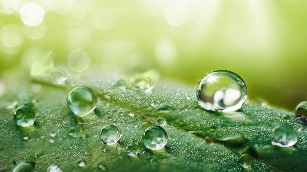 forma goccia di pioggia