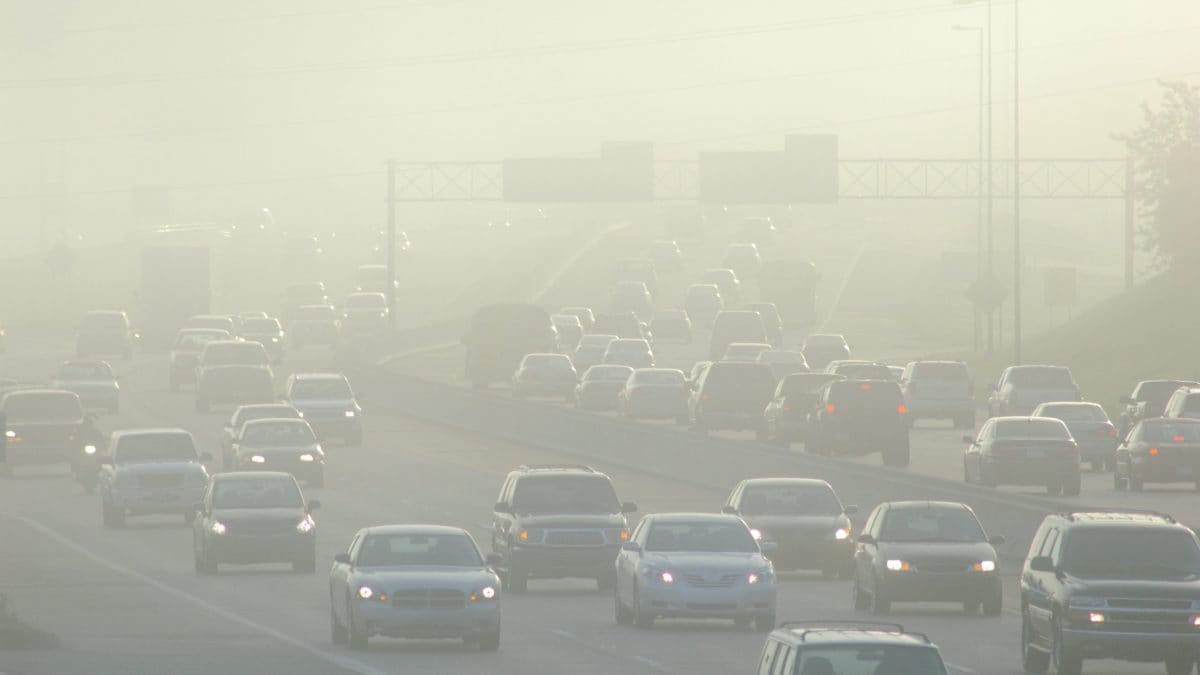 nebbia e smog