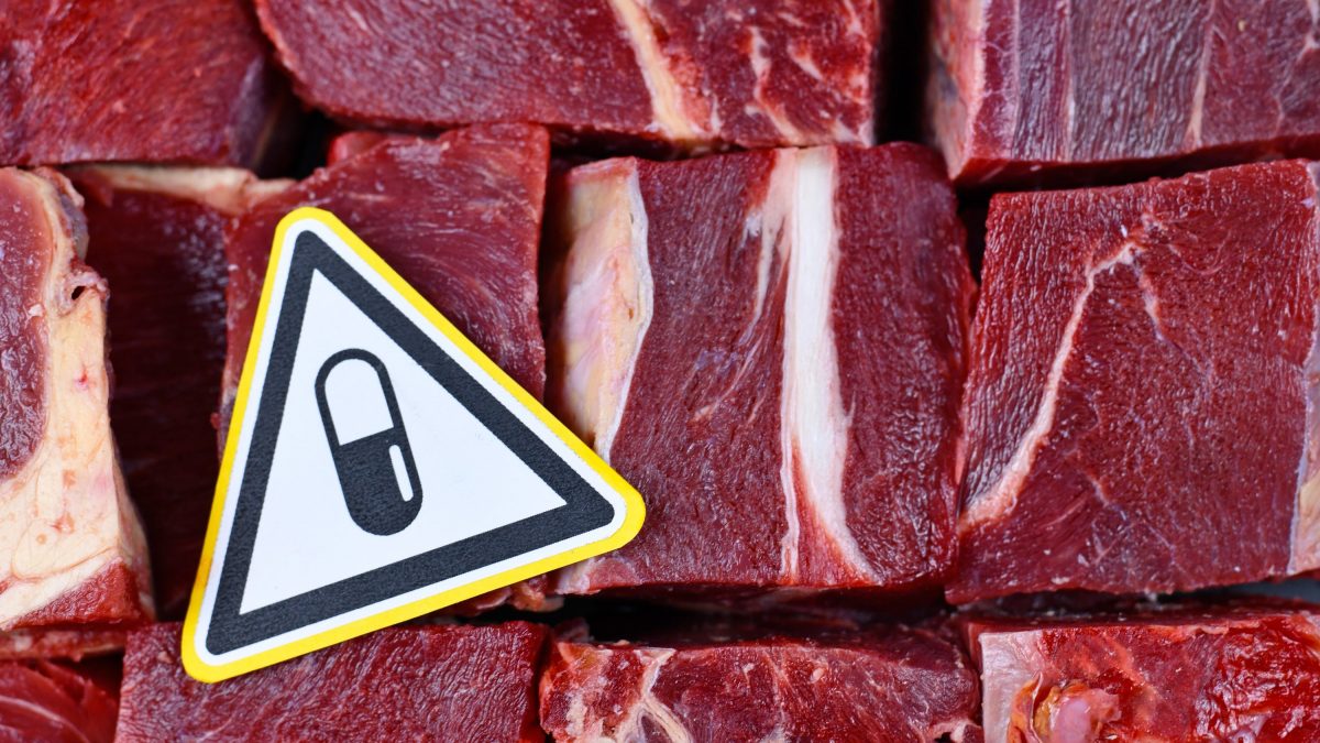 antibiotici carne