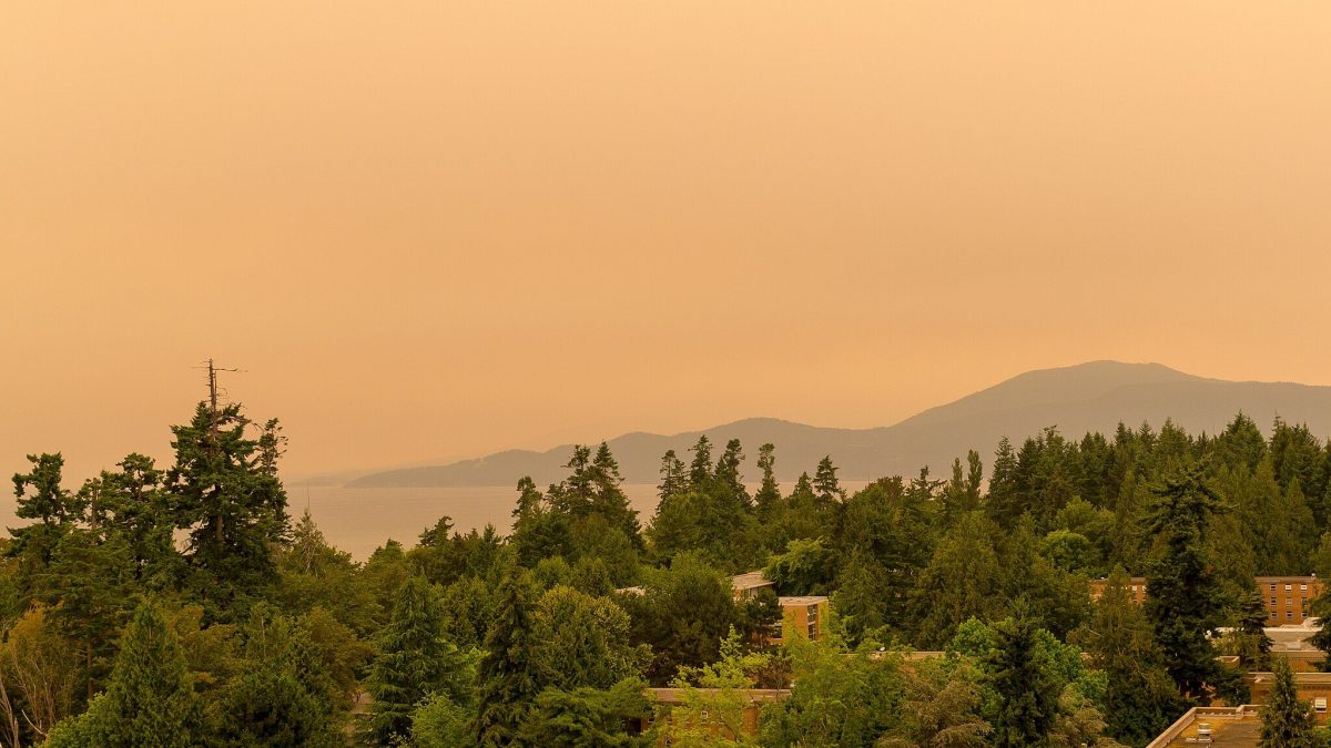 cielo giallo italia sabbia sahara