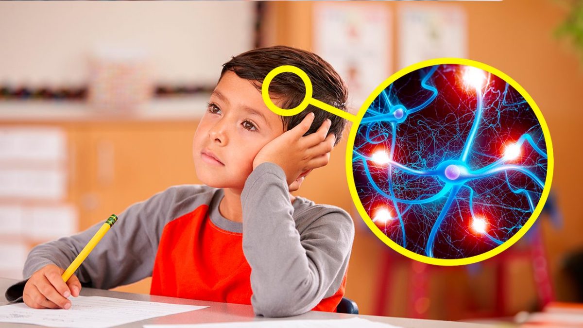 cosa succede nel cervello quando non facciamo nulla