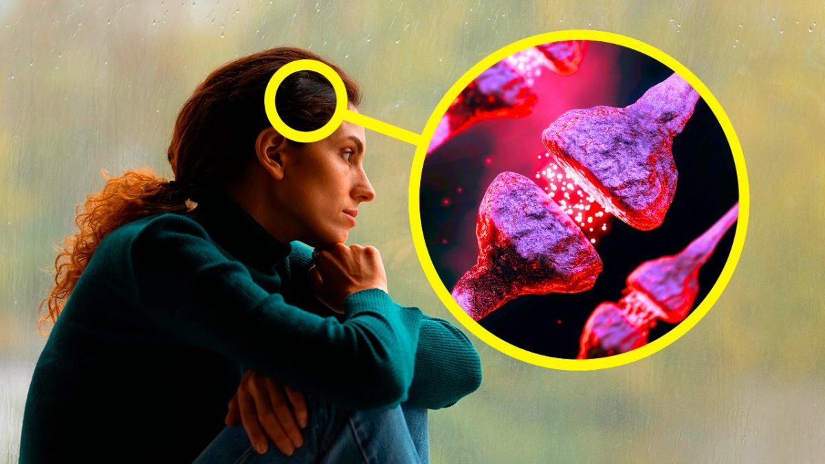 cosa succede nel nostro cervello quando siamo tristi