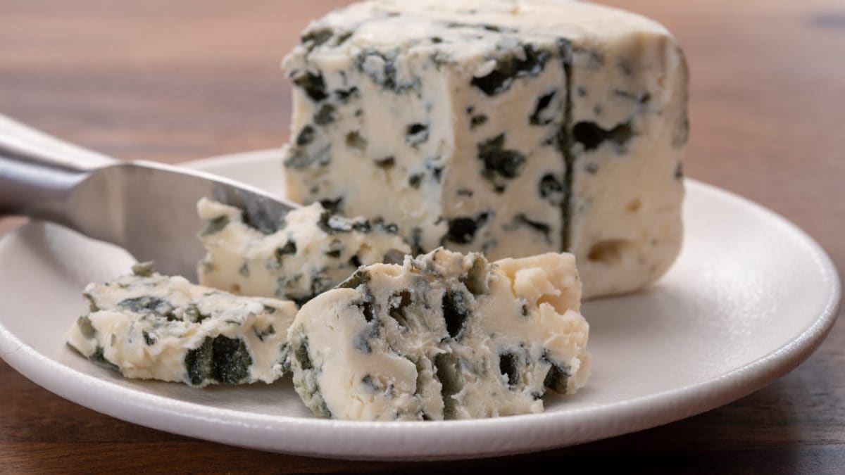 muffa gorgonzola sicura fa male