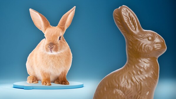 origine coniglio pasquale eostre easter