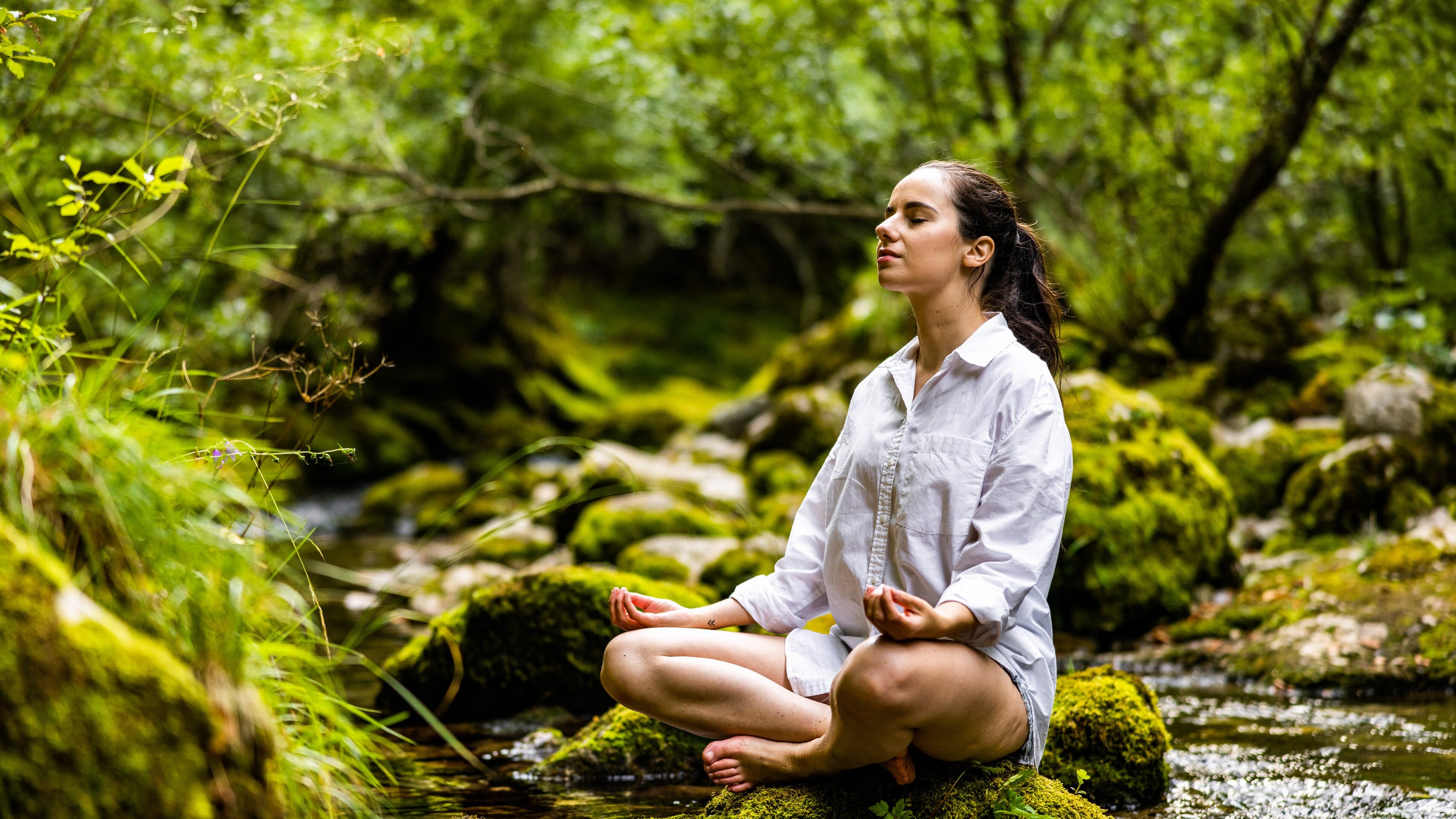 Meditazione cervello effetti