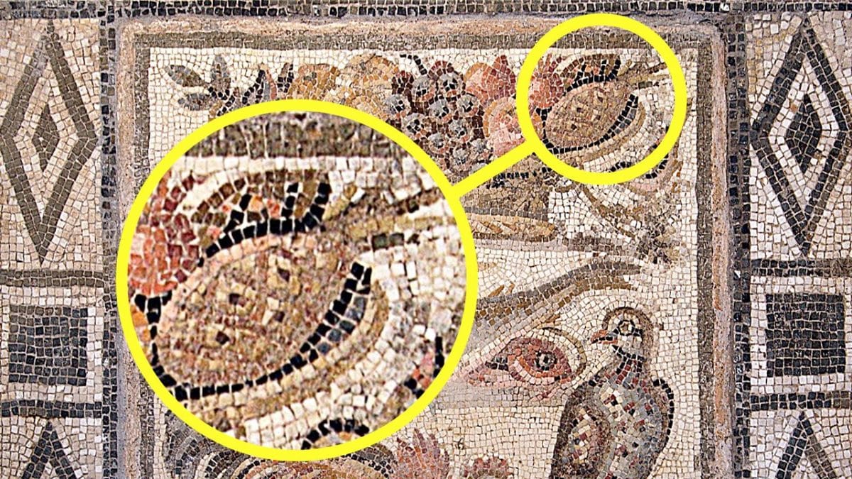 ananas mosaico antica roma