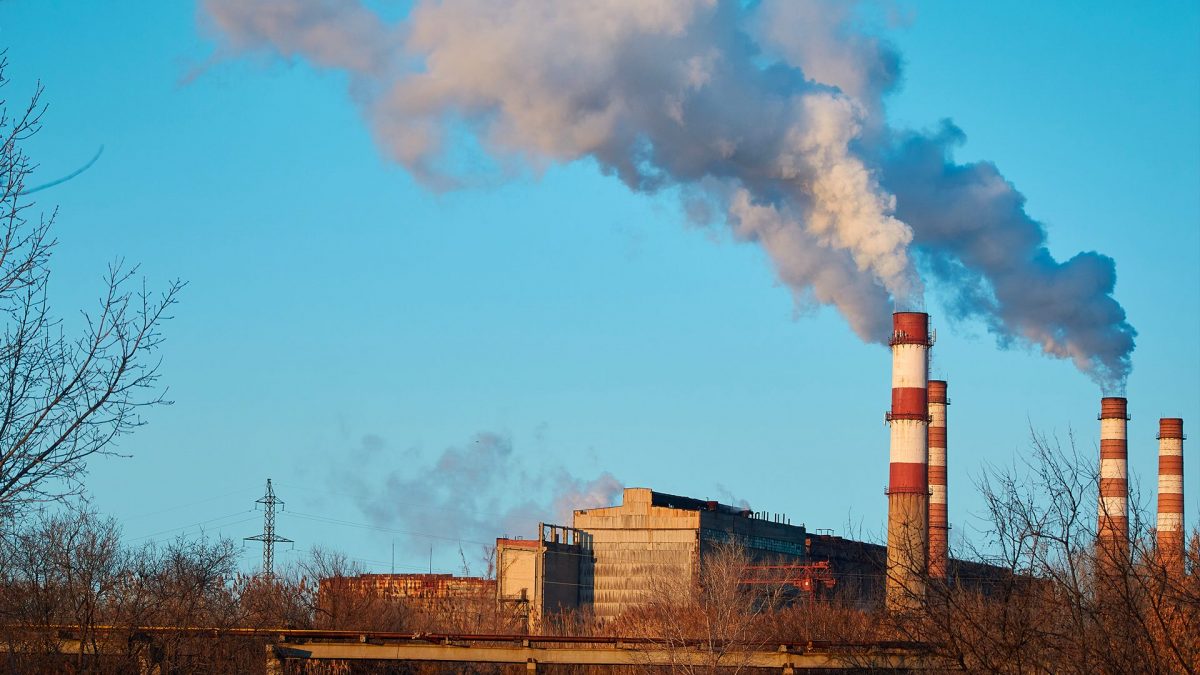 antropocene rifiutato