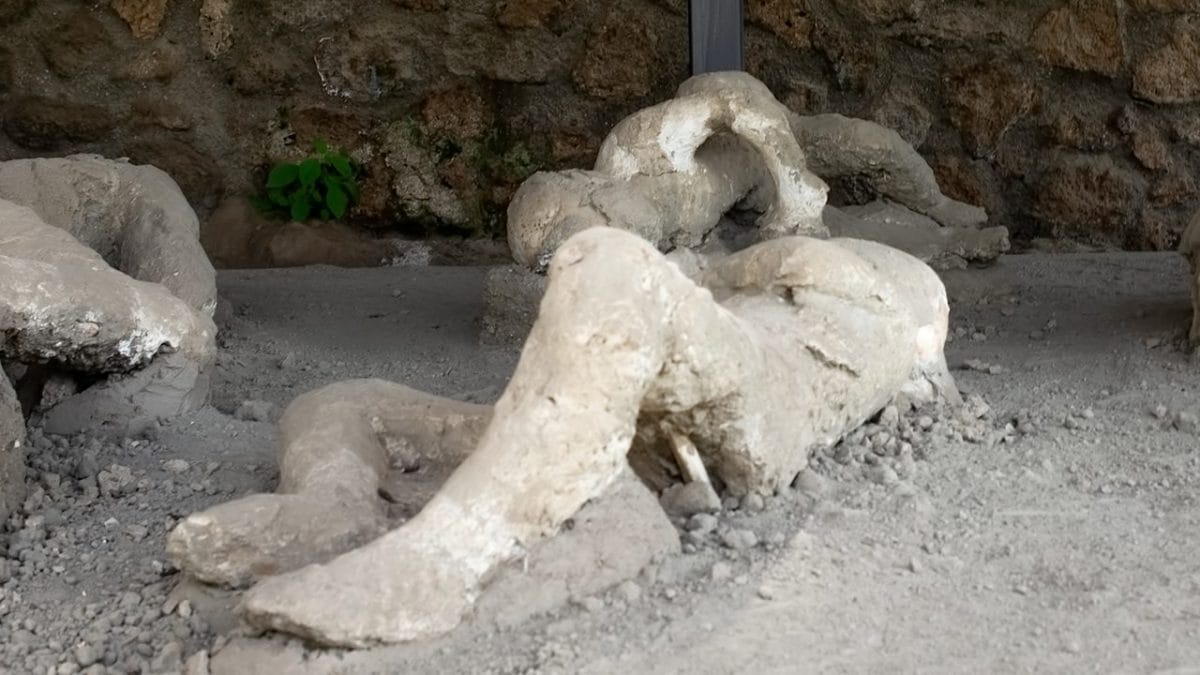 calchi vittime eruzione pompei non sono veri
