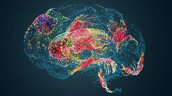 cervello elabora dati