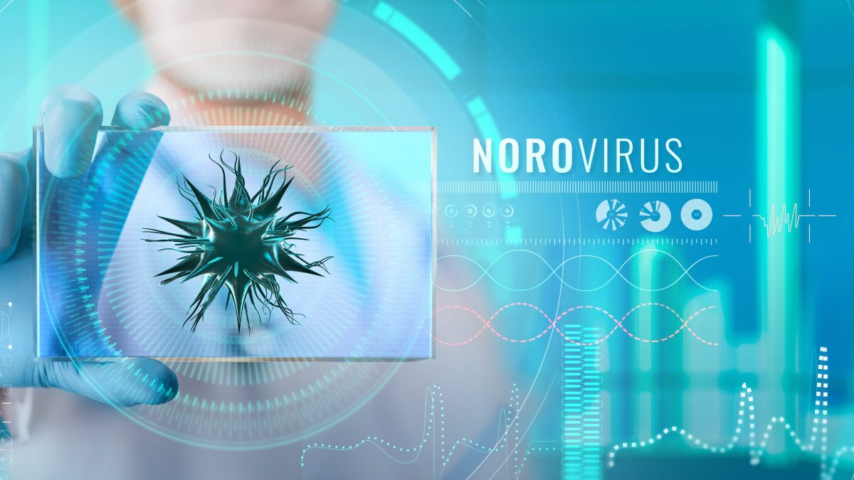 norovirus