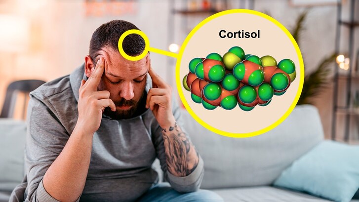 Cosa succede nel cervello quando siamo stressati cortisolo