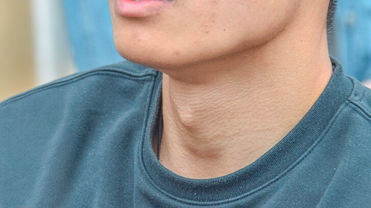 Pomo d'adamo a cosa serve