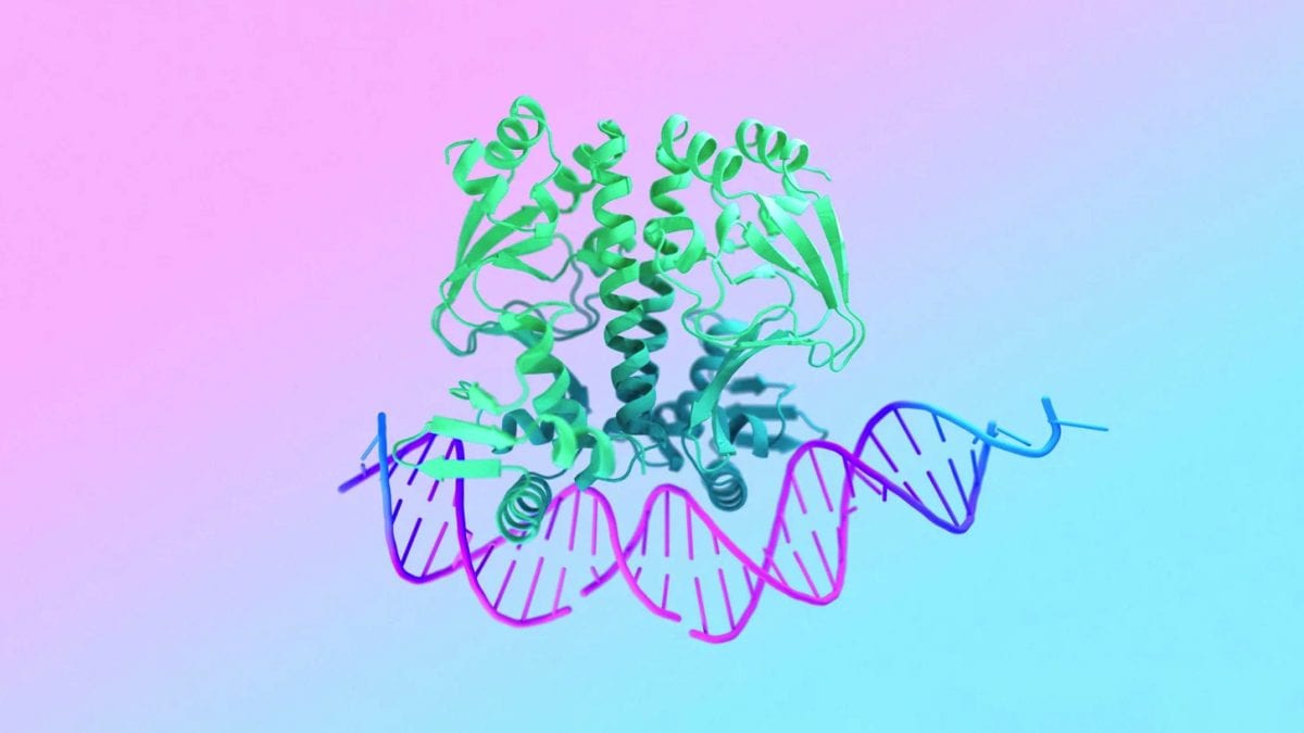 AlphaFold 3 | Geopop